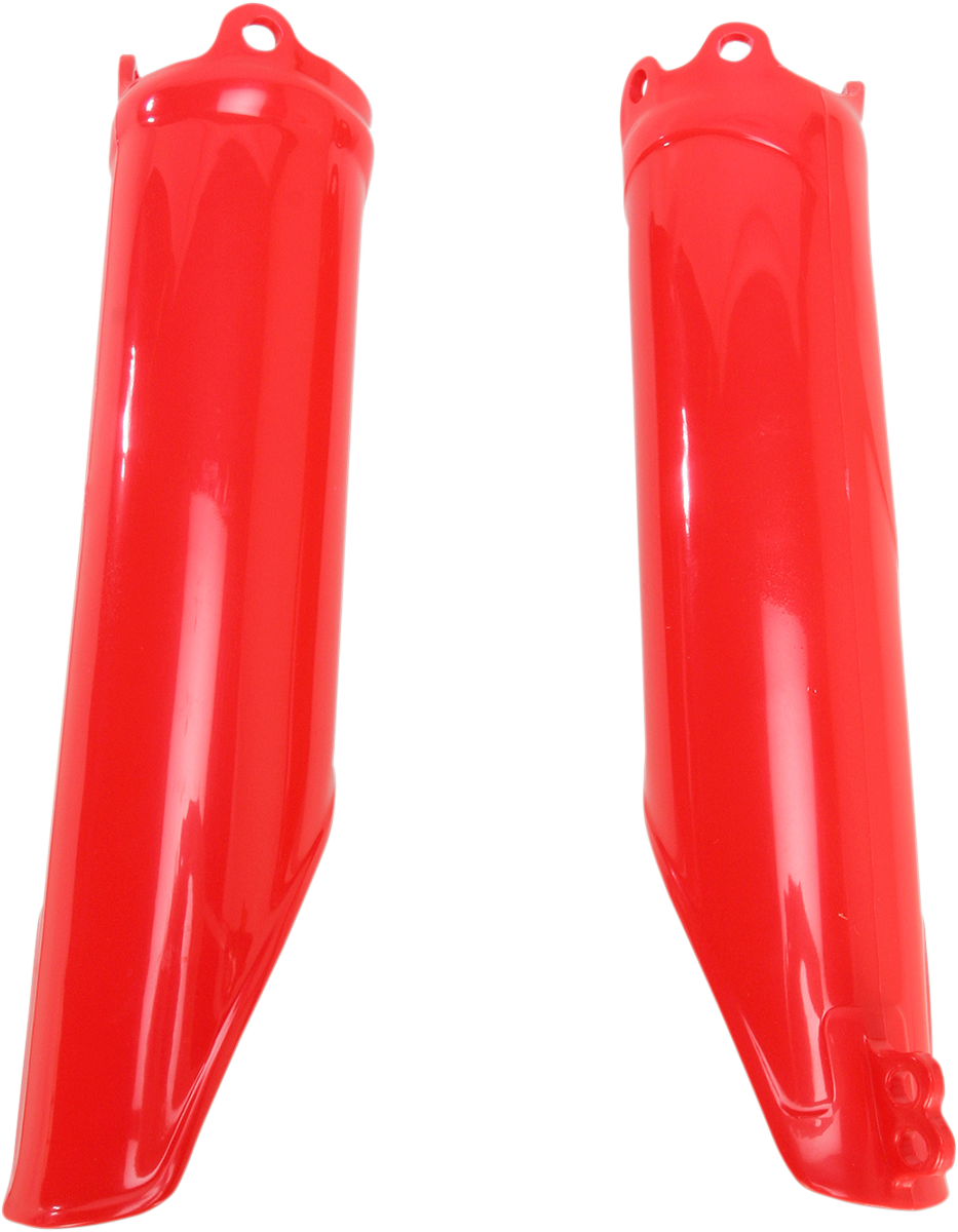 04120191_1.png