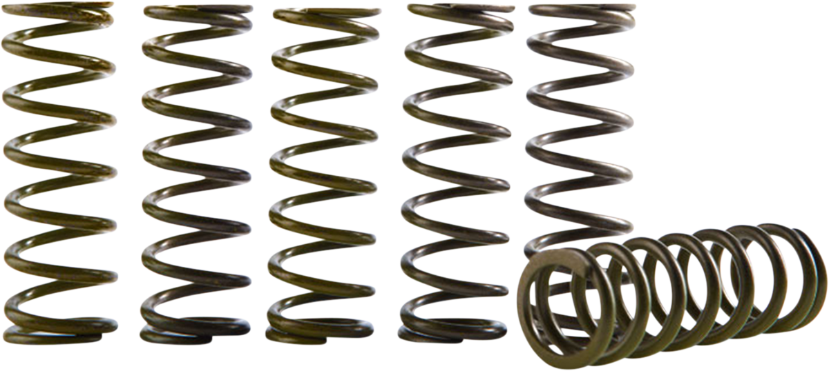 11313850_2.png