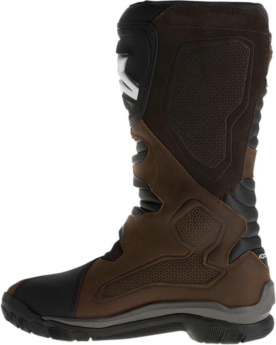 34101751_2.png