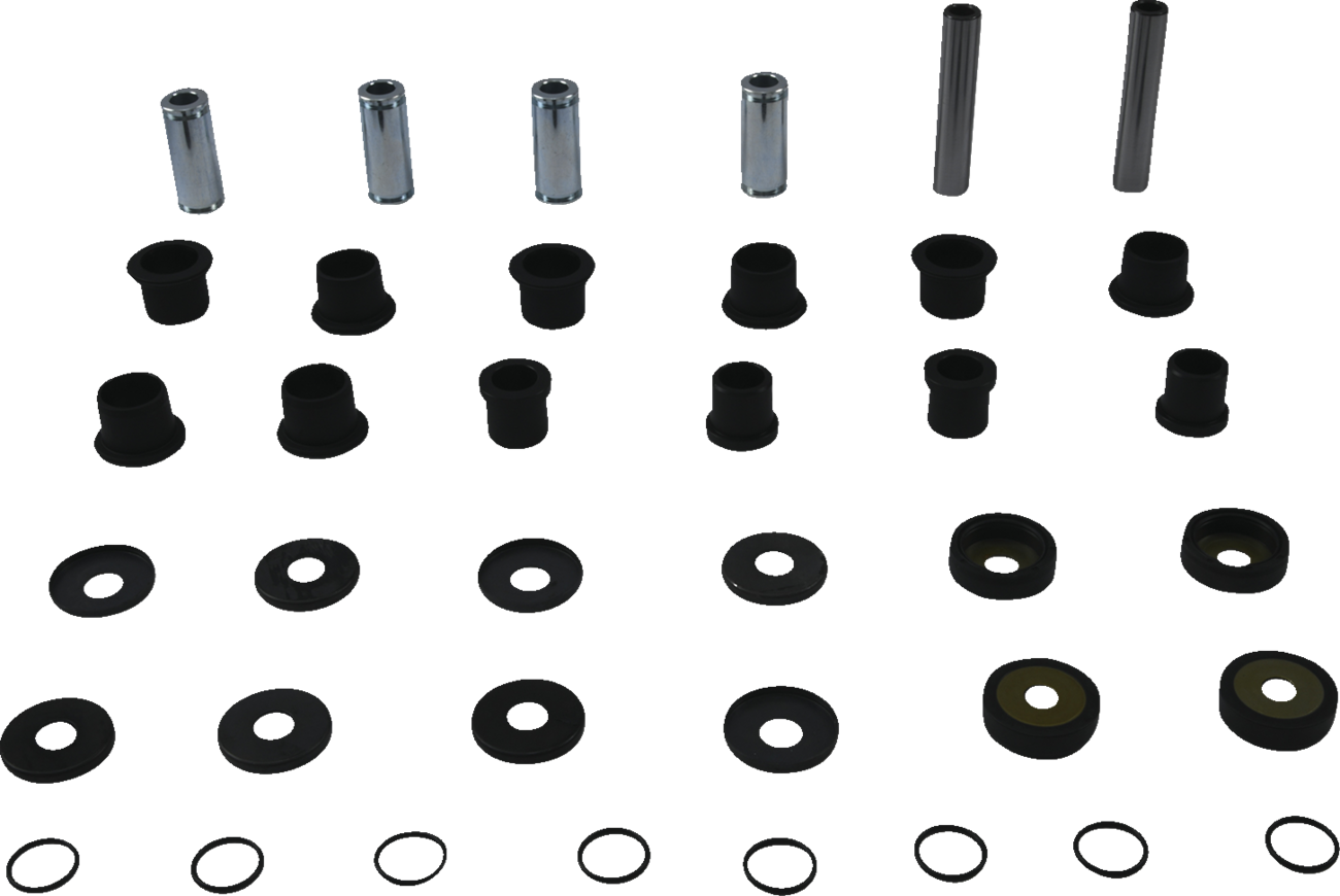 04301184_1.png