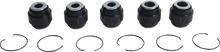 04301335_0.png