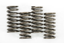 Clutch Springs Csk248