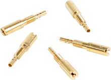10050167_1.png