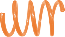 11400902_0.png