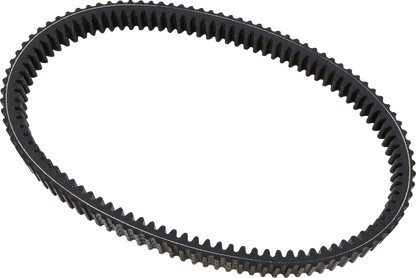11421023_0.png