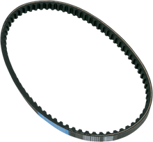 12040079_0.png