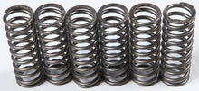 Clutch Springs Csk119