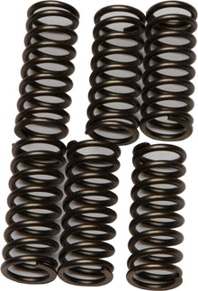 Clutch Springs Csk196