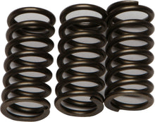 Clutch Springs Csk203