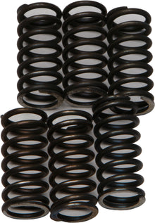 Clutch Springs Csk200