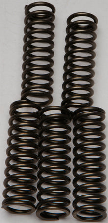 Clutch Springs Csk169