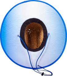 25013938_1.png