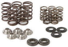 Raptor Spring Kit/ Ti Retainers
