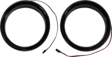 44050541_0.png