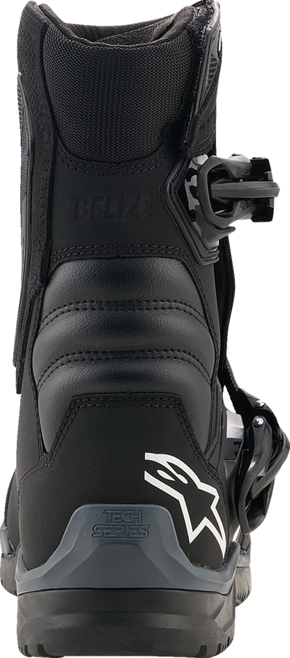 ALPINESTARS Belize V2 Drystar® Boots - Black - US 7 2040226-10-7