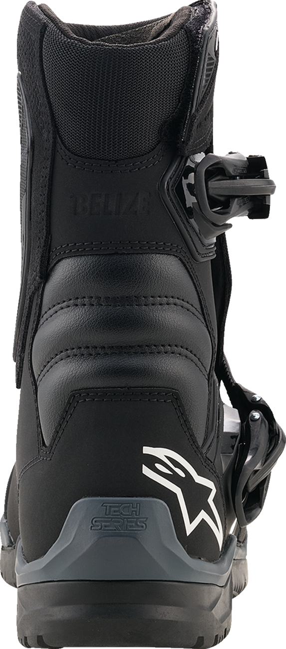 ALPINESTARS Belize V2 Drystar® Boots - Black - US 8 2040226-10-8