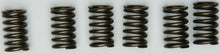 Clutch Springs Csk131