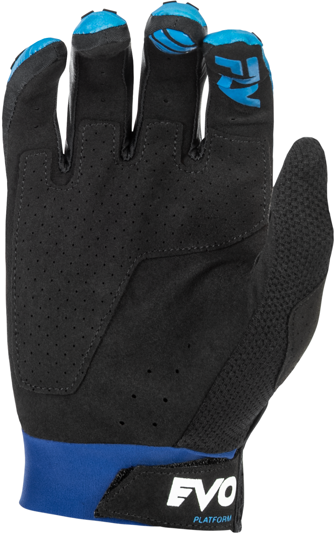 Evolution  Dst Gloves Blue/White Md