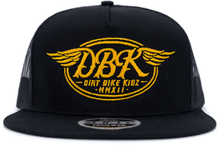 Goldwings 2fifty Snapback Hat Black