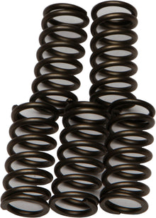 Clutch Springs Csk176