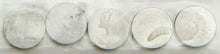 Valve Shims 8.90x2.00mm 5/Pk
