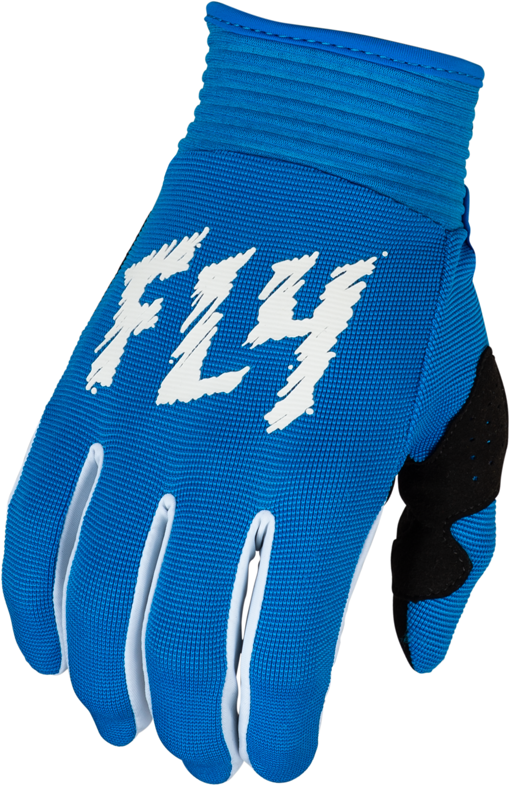 Youth F 16 Gloves True Blue/White Ys